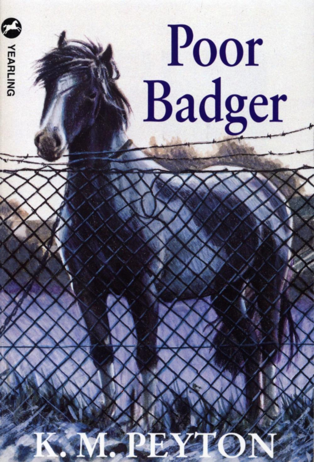 Big bigCover of Poor Badger