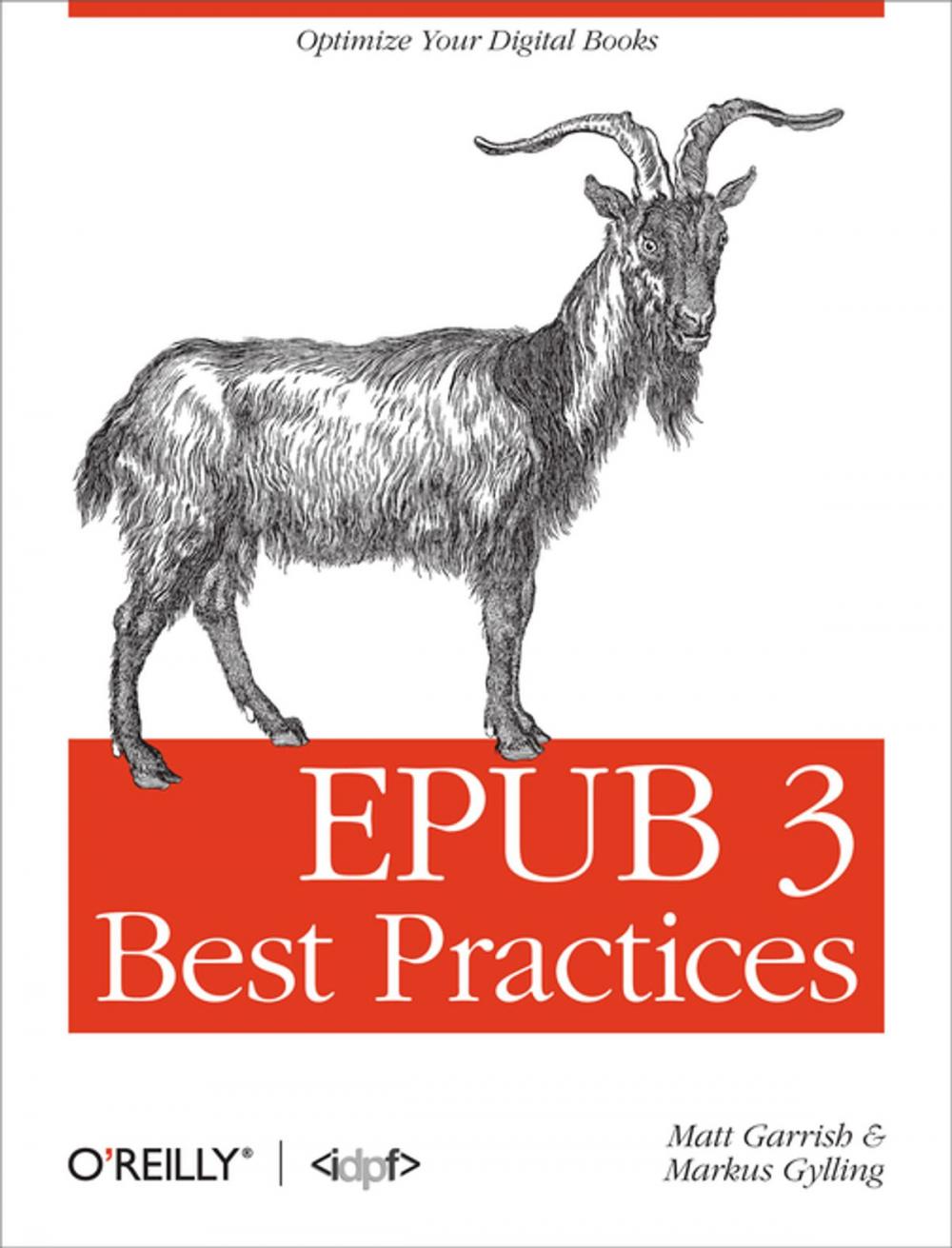 Big bigCover of EPUB 3 Best Practices