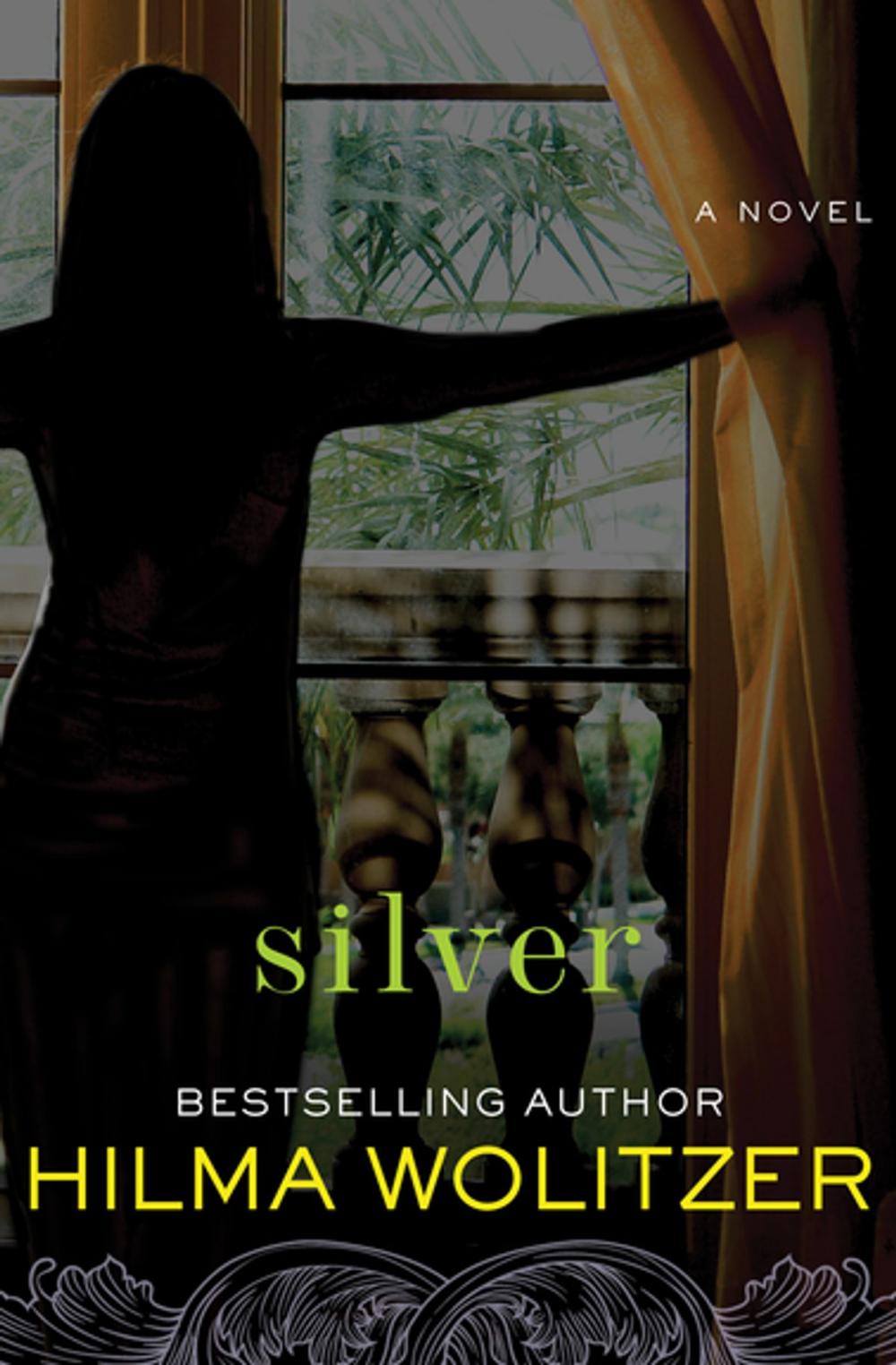 Big bigCover of Silver