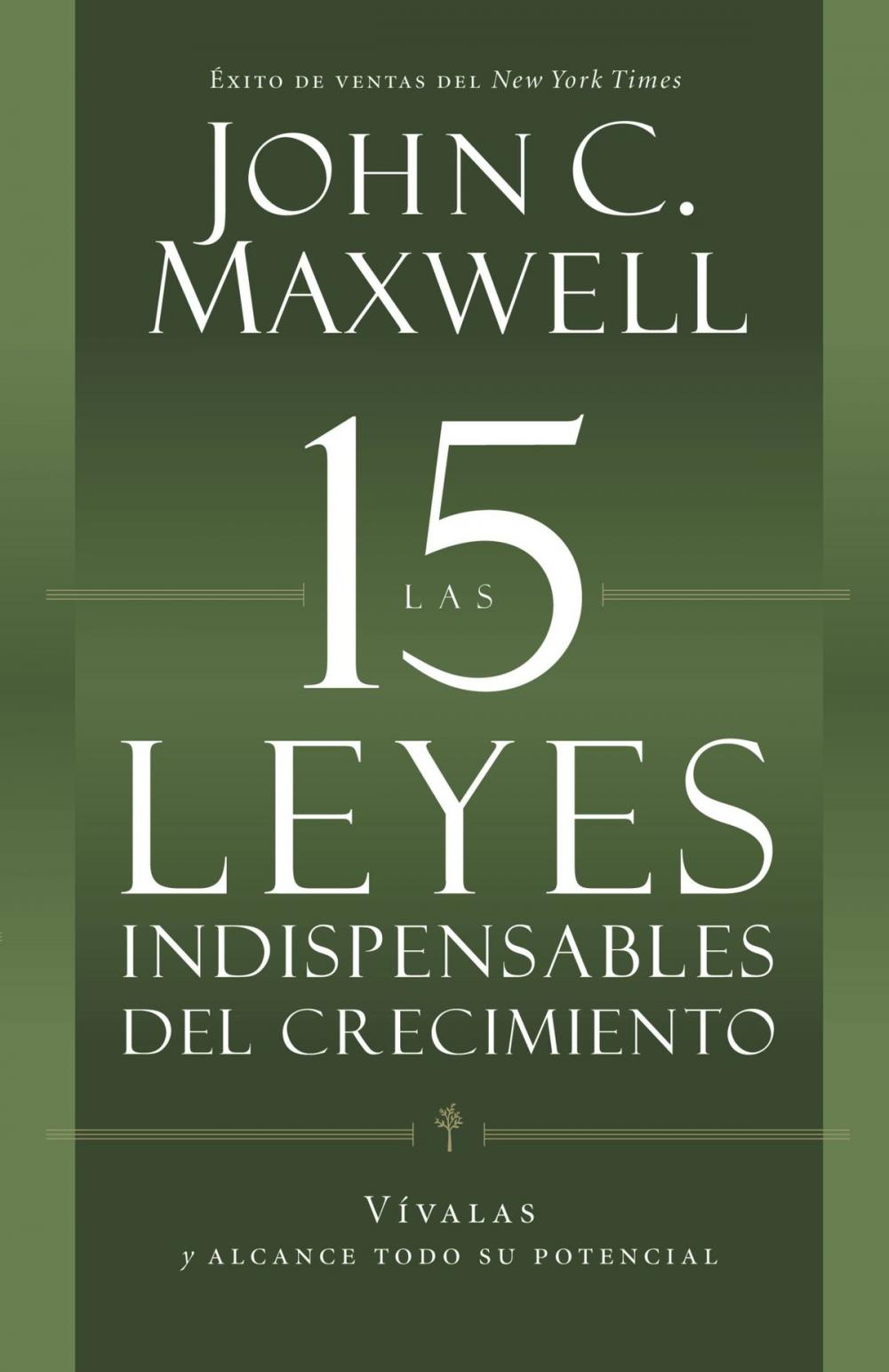 Big bigCover of Las 15 Leyes Indispensables Del Crecimiento