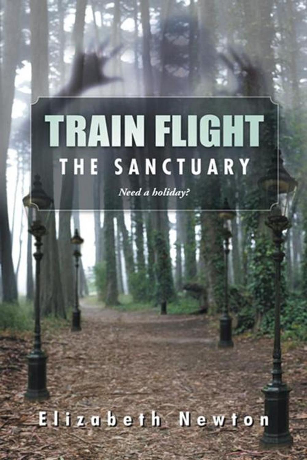 Big bigCover of Train Flight