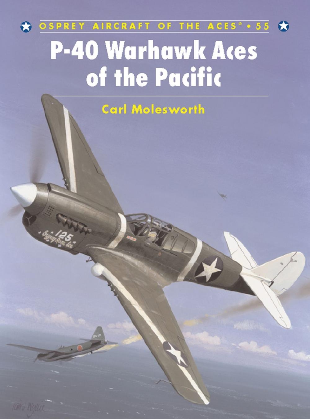 Big bigCover of P-40 Warhawk Aces of the Pacific