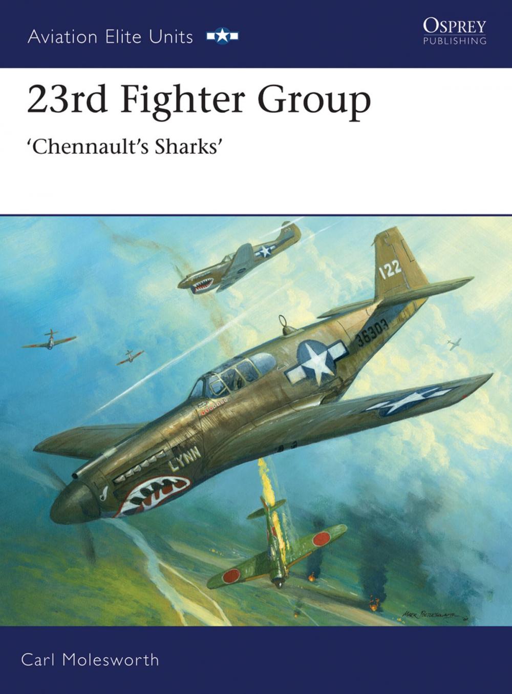 Big bigCover of 23rd Fighter Group