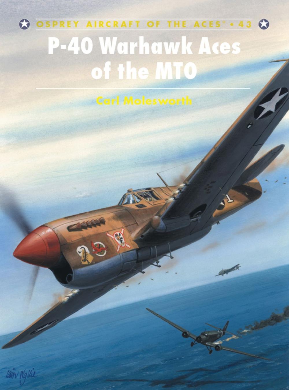 Big bigCover of P-40 Warhawk Aces of the MTO