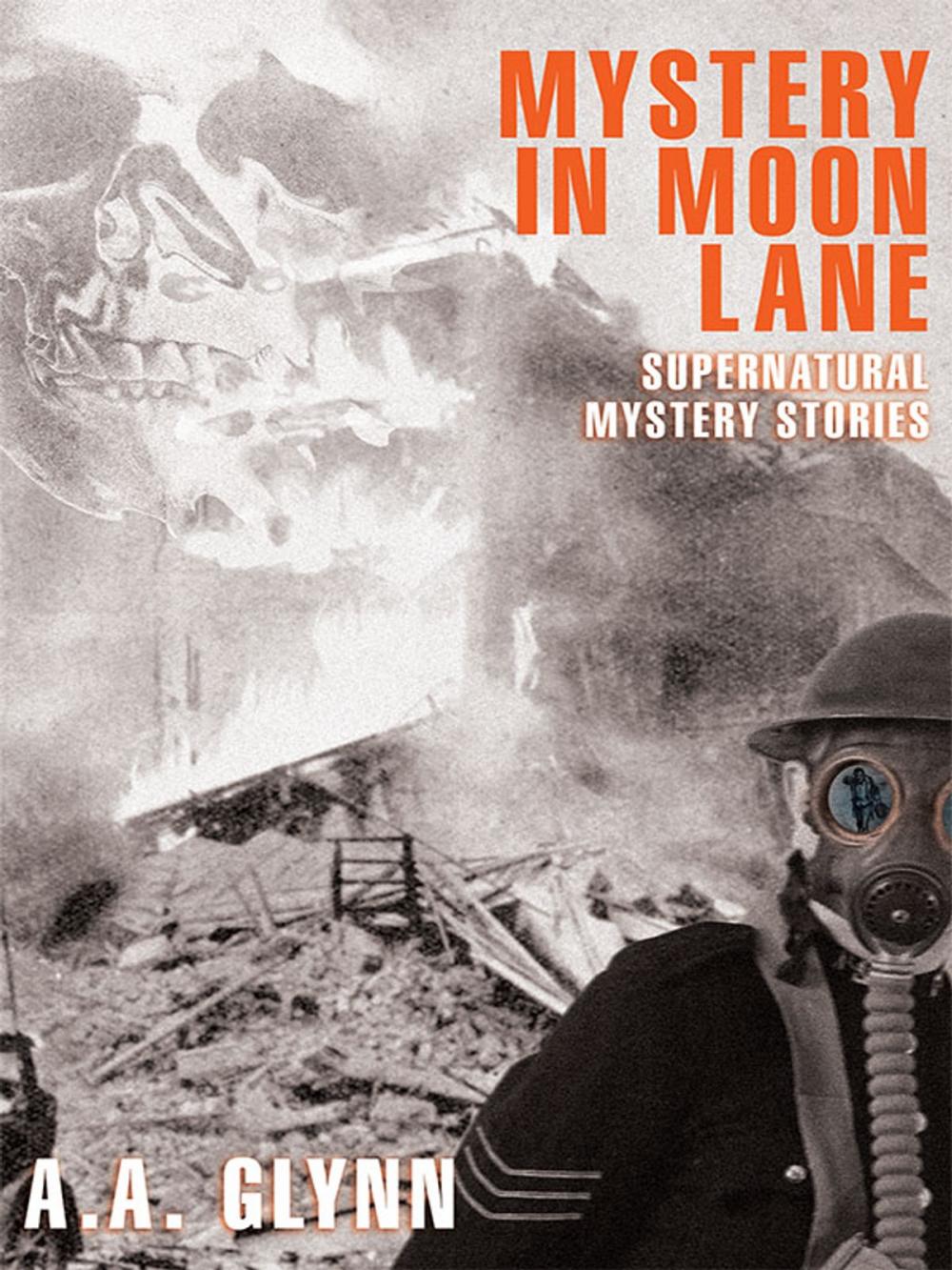 Big bigCover of Mystery in Moon Lane