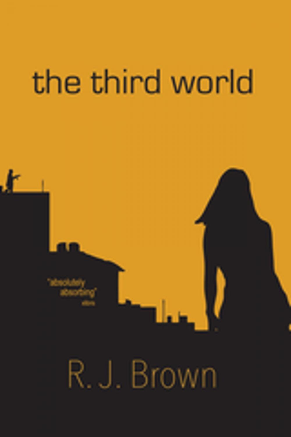 Big bigCover of The Third World