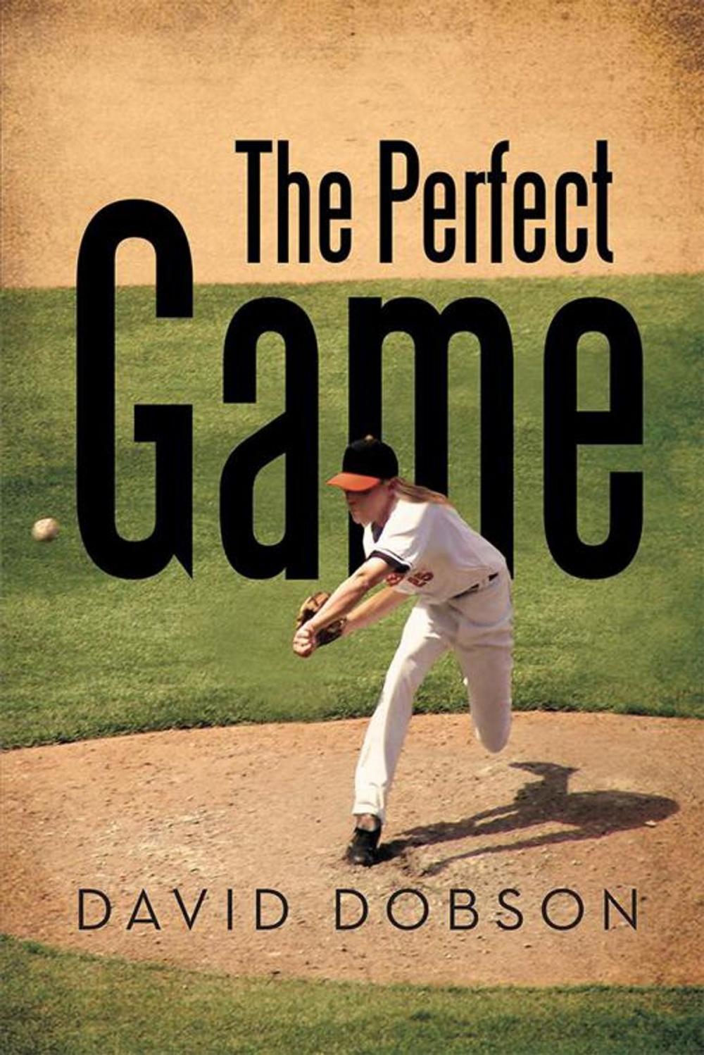 Big bigCover of The Perfect Game