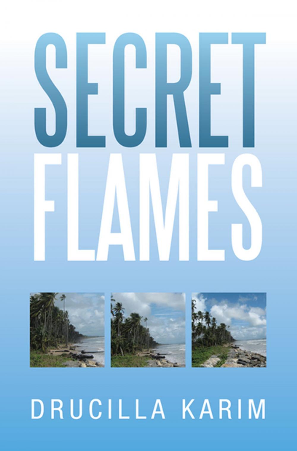 Big bigCover of Secret Flames