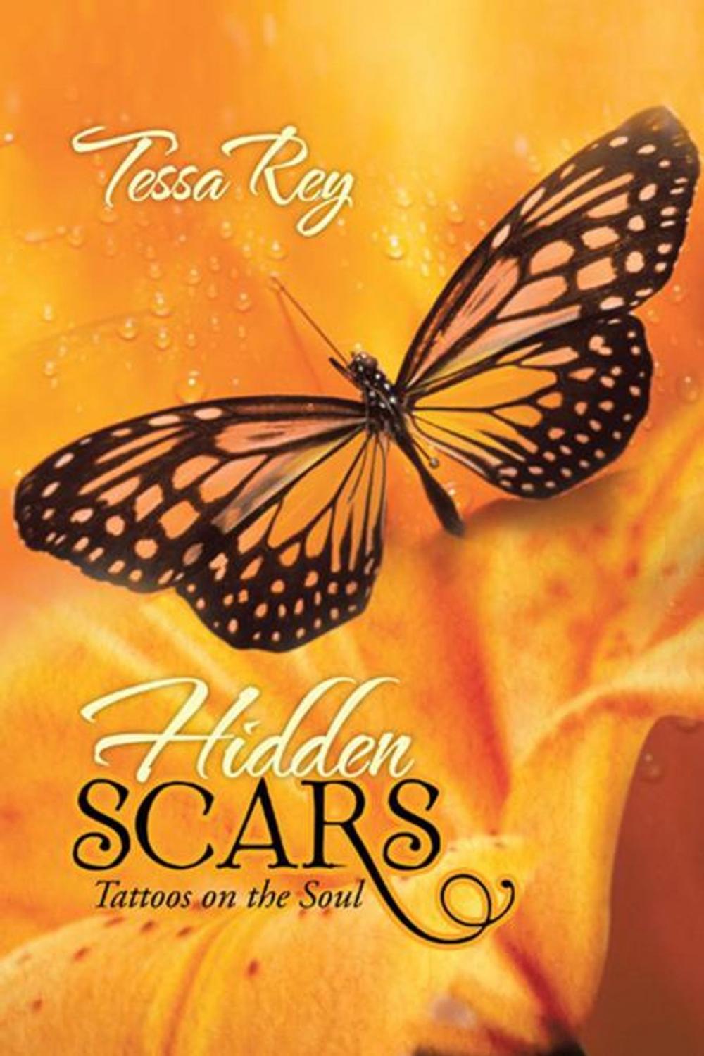 Big bigCover of Hidden Scars