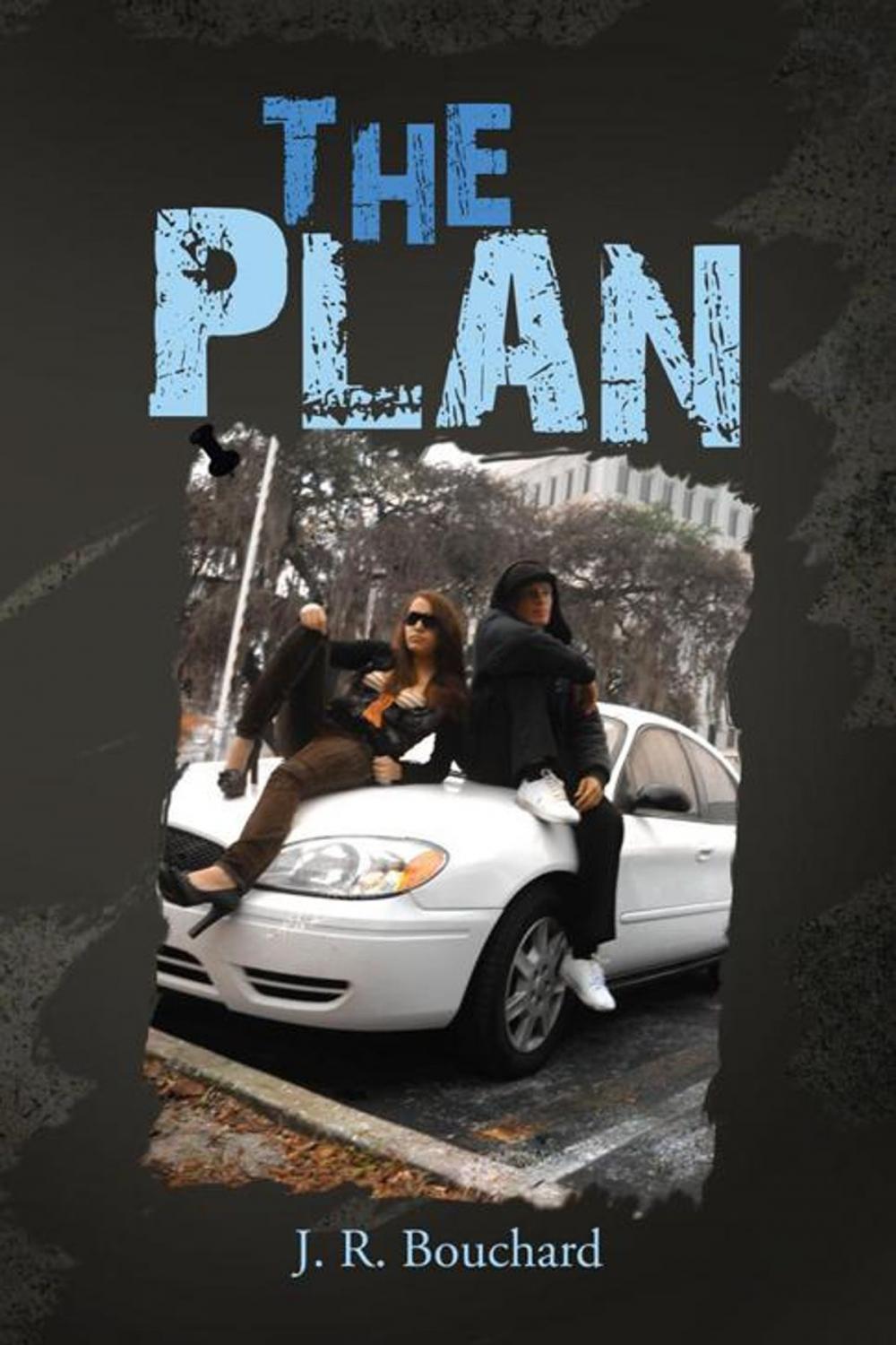 Big bigCover of The Plan