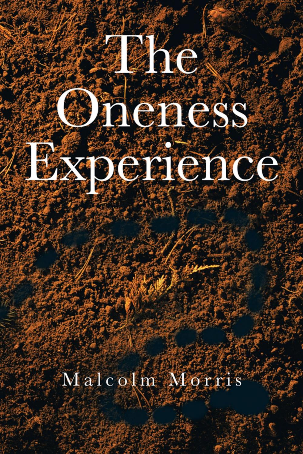 Big bigCover of The Oneness Experience