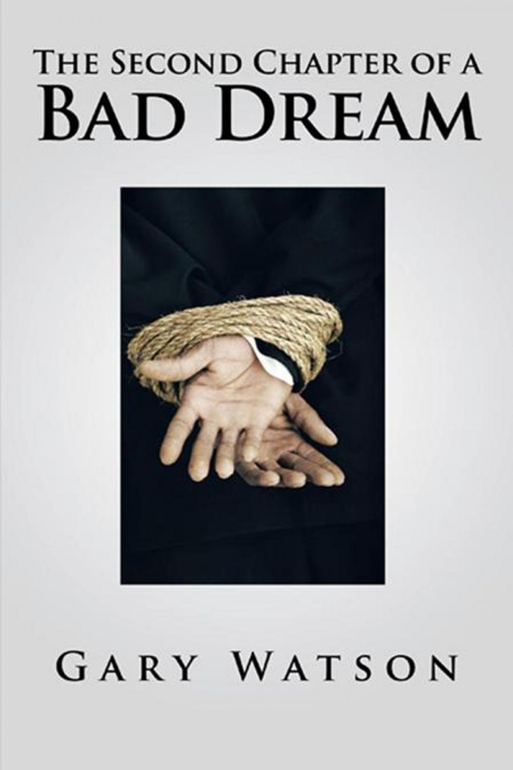 Big bigCover of The Second Chapter of a Bad Dream