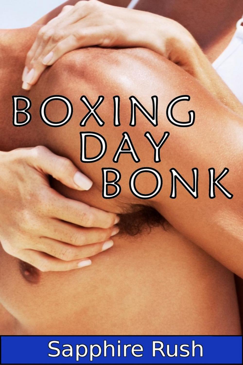 Big bigCover of Boxing Day Bonk (Christmas voyeur menage)