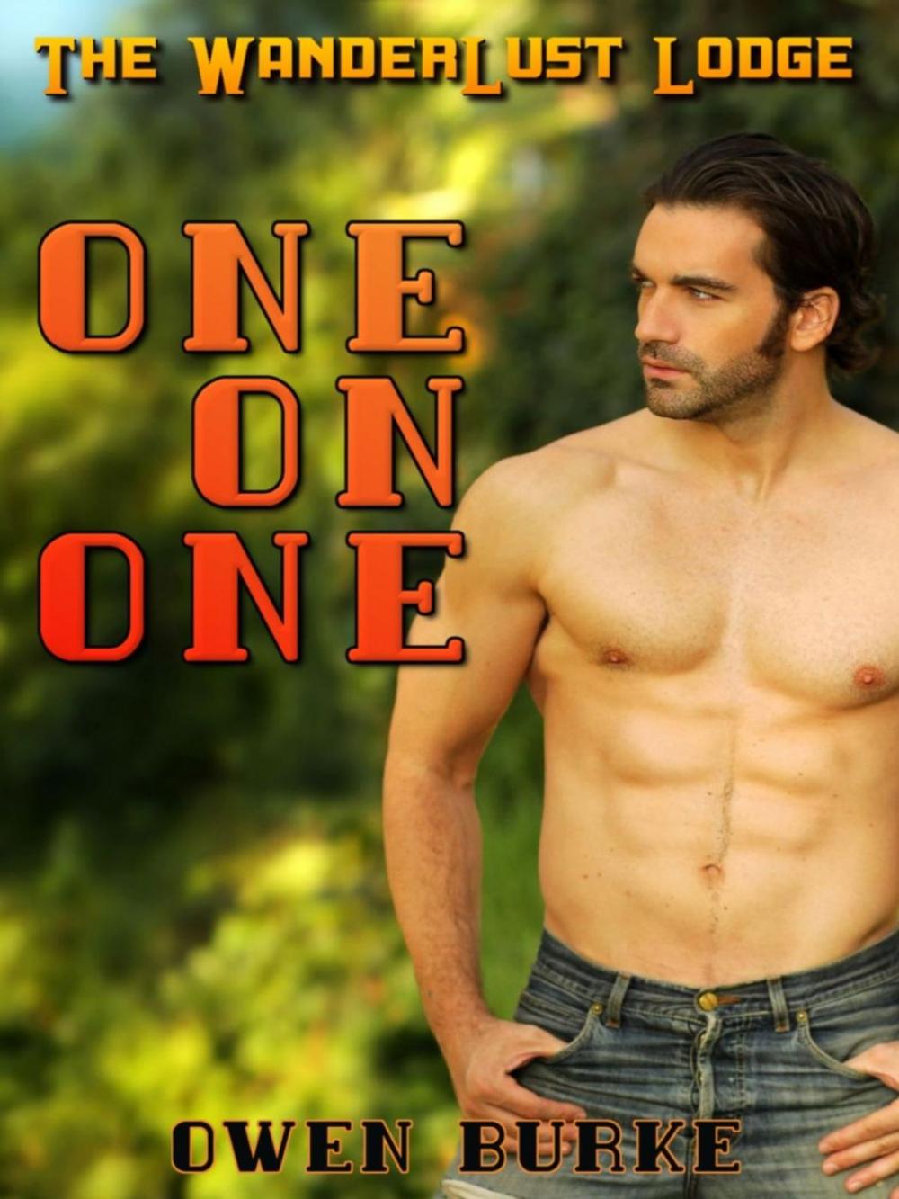 Big bigCover of One On One (WanderLust Lodge Gay Sex Collection)