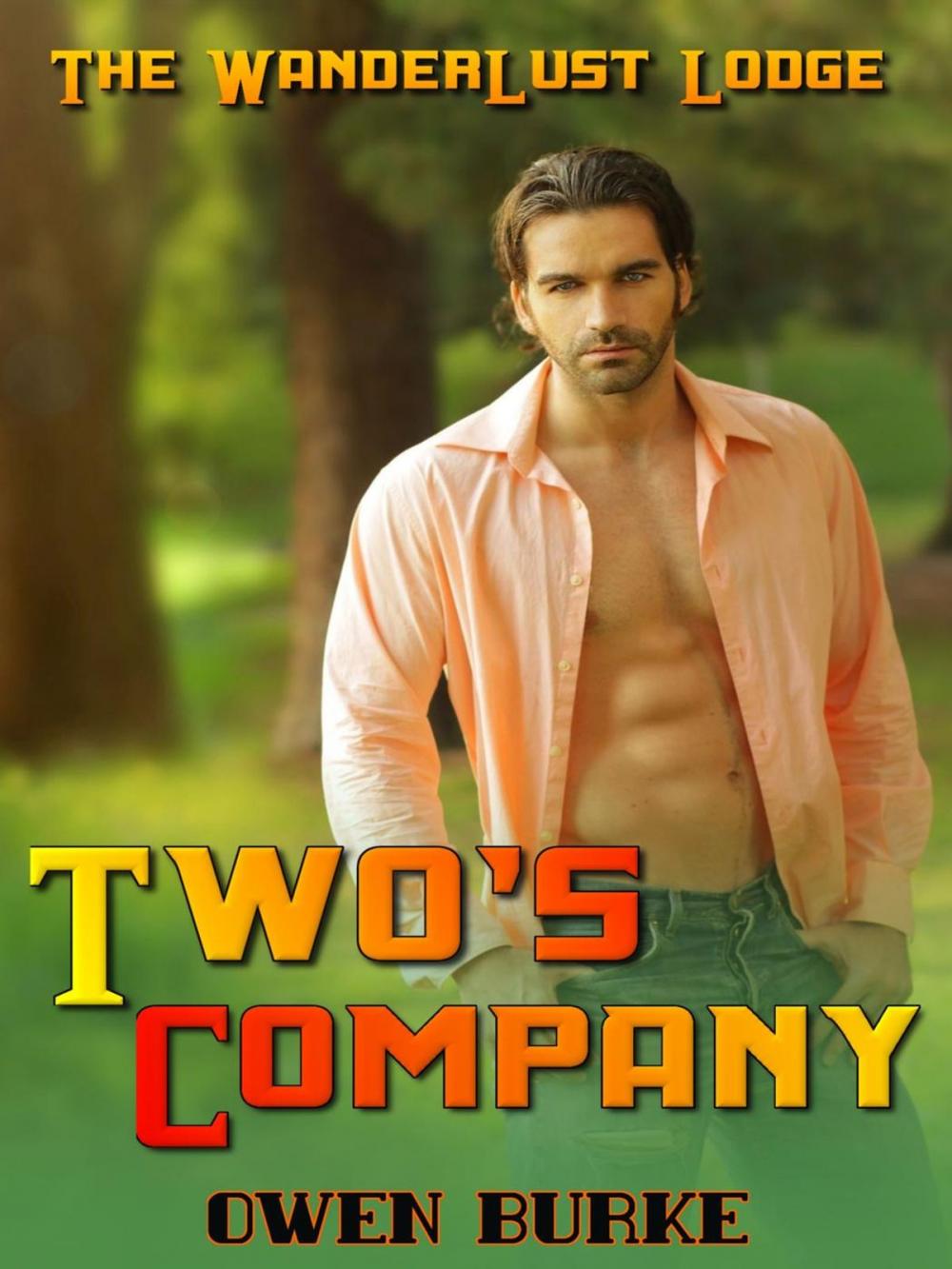 Big bigCover of Two's Company (WanderLust Lodge Gay Sex Collection)