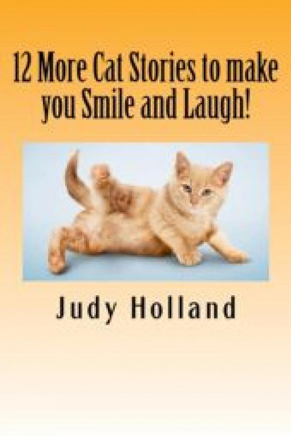 Big bigCover of 12 More Cat Stories to make you Smile and Laugh!