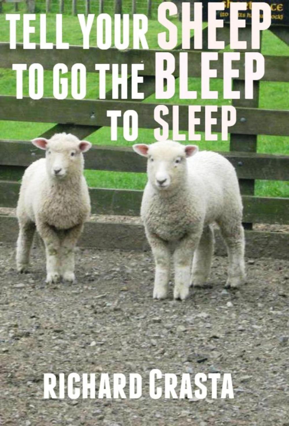 Big bigCover of Tell Your Sheep to Go the Bleep to Sleep