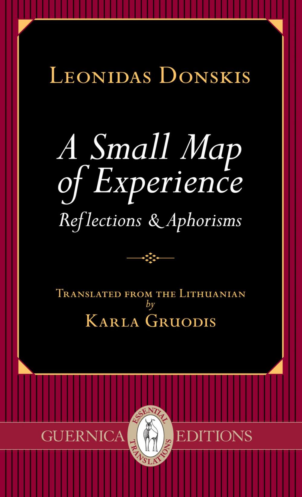 Big bigCover of A Small Map of Experience