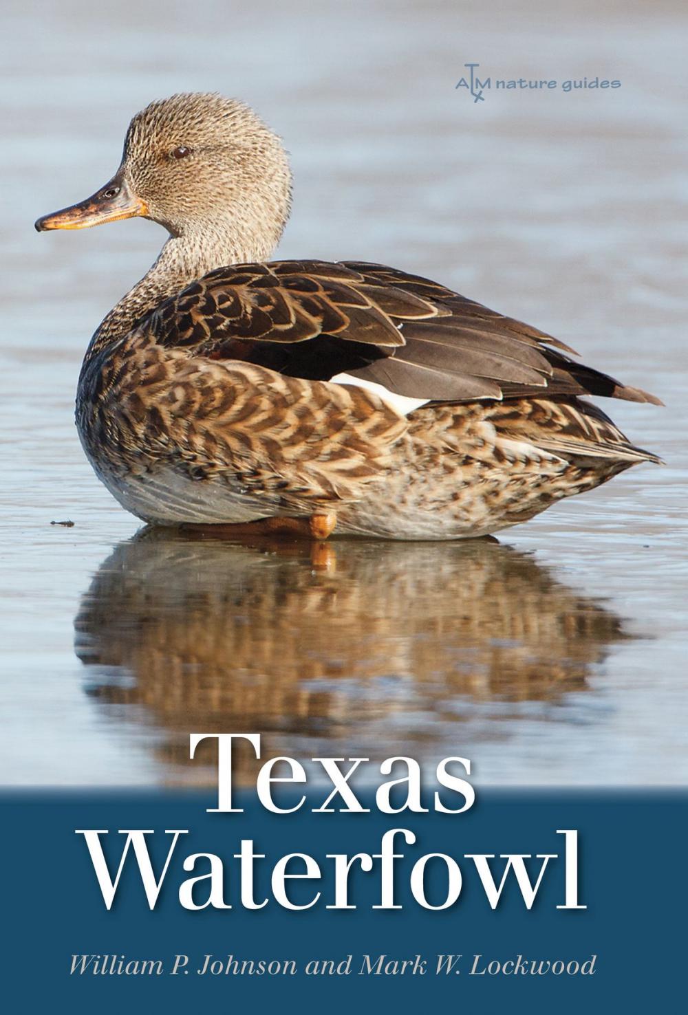 Big bigCover of Texas Waterfowl