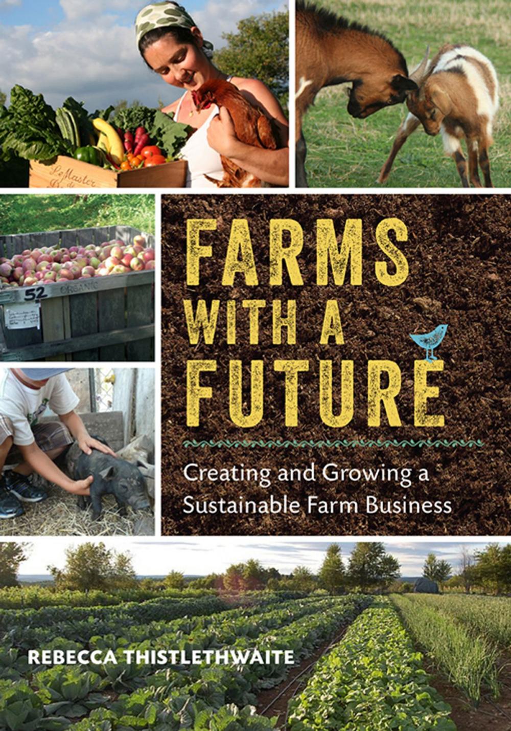 Big bigCover of Farms with a Future