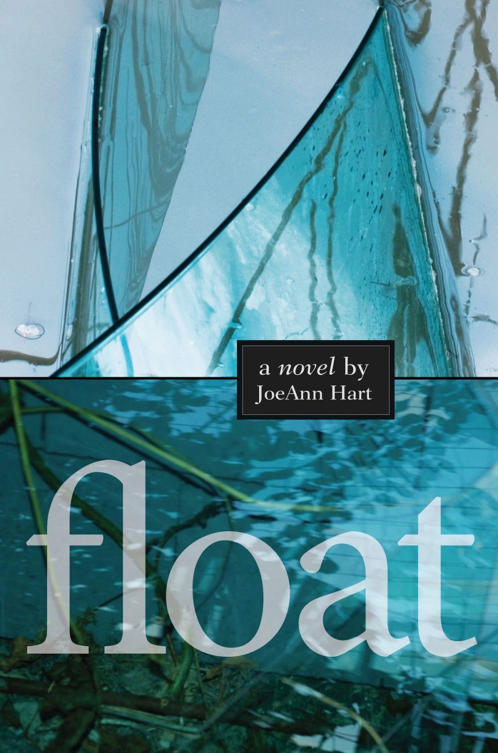 Big bigCover of Float: A Novel