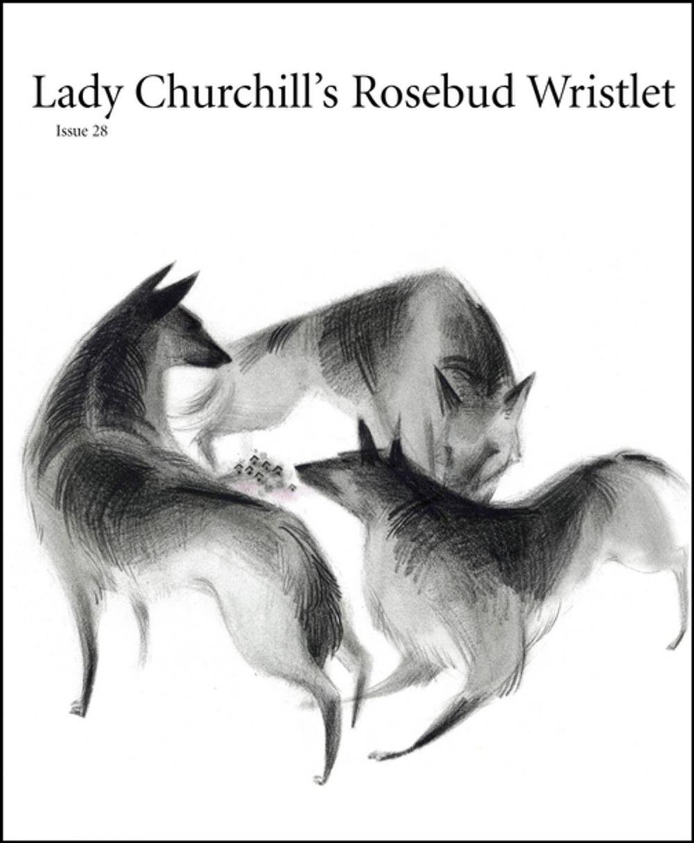 Big bigCover of Lady Churchill's Rosebud Wristlet No. 28