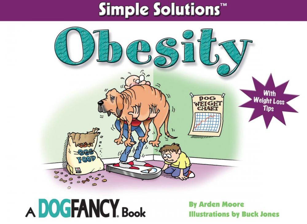 Big bigCover of Simple Solutions Obesity