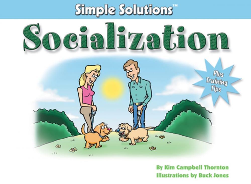 Big bigCover of Socialization