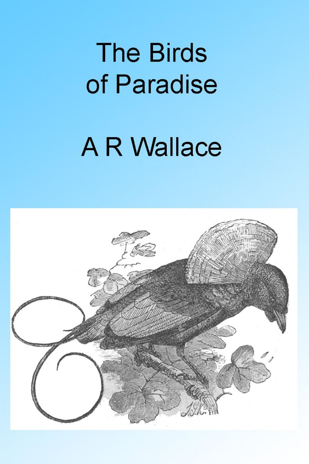 Big bigCover of The Birds of Paradise, Illustrated