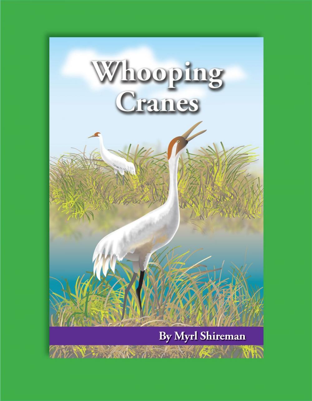 Big bigCover of Whooping Cranes