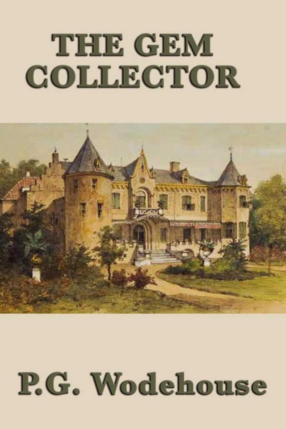 Big bigCover of The Gem Collector