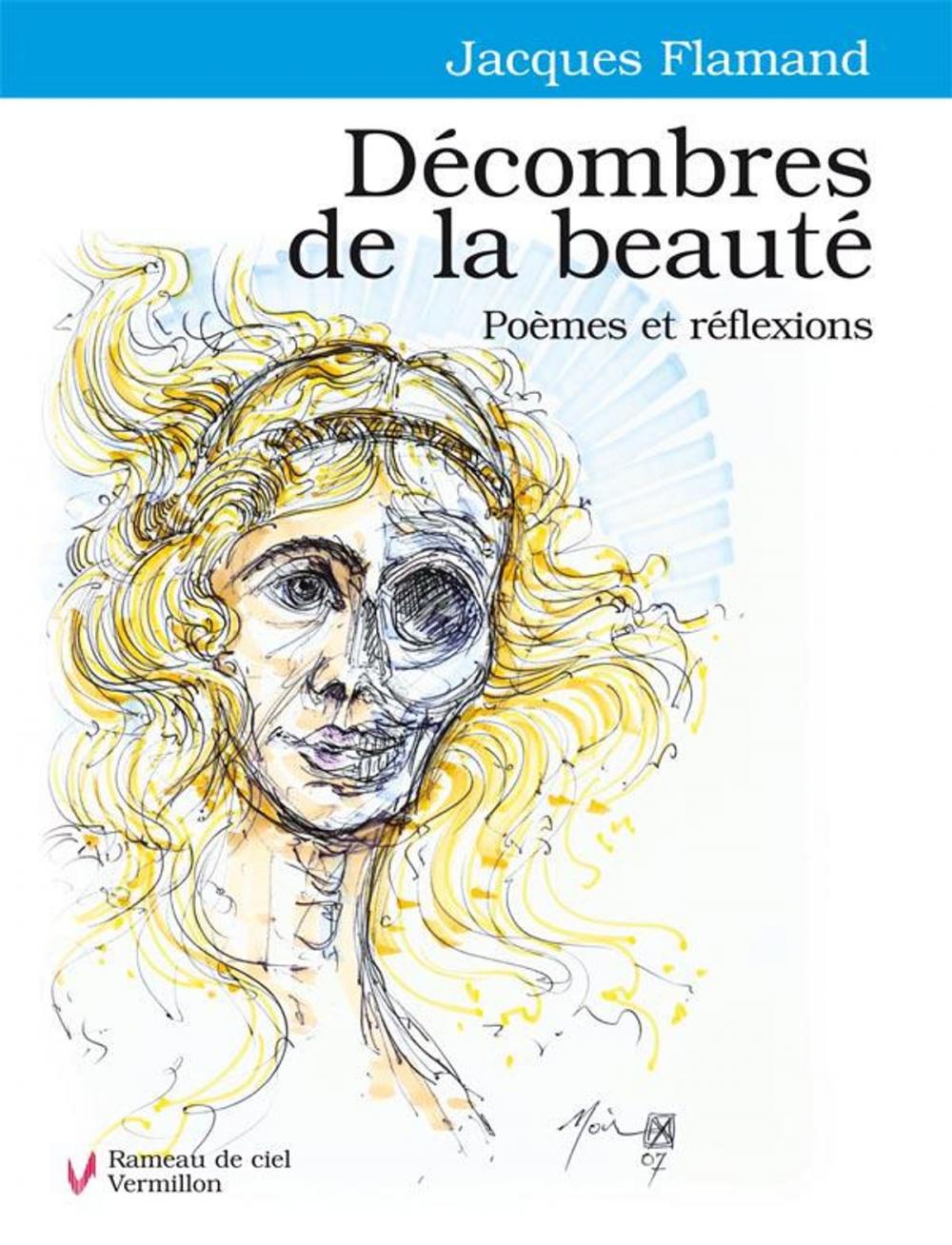 Big bigCover of Décombres de la beauté