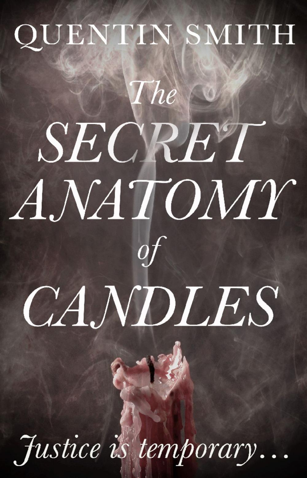 Big bigCover of The Secret Anatomy of Candles