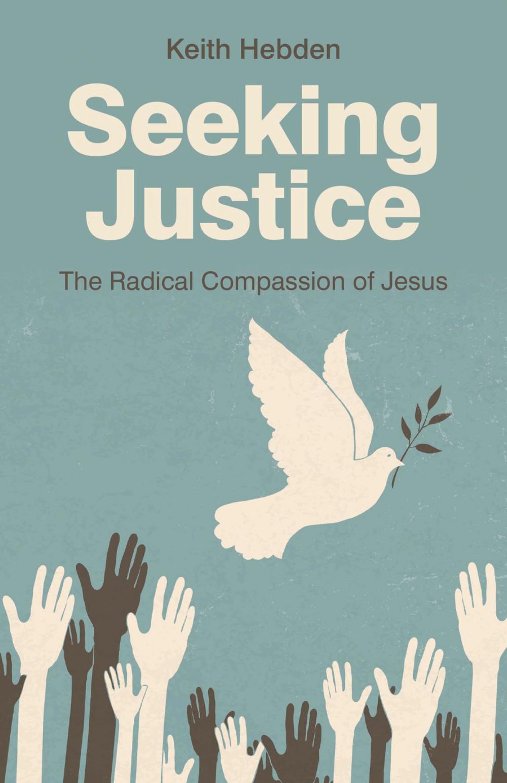 Big bigCover of Seeking Justice