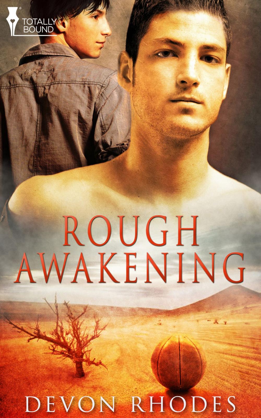 Big bigCover of Rough Awakening