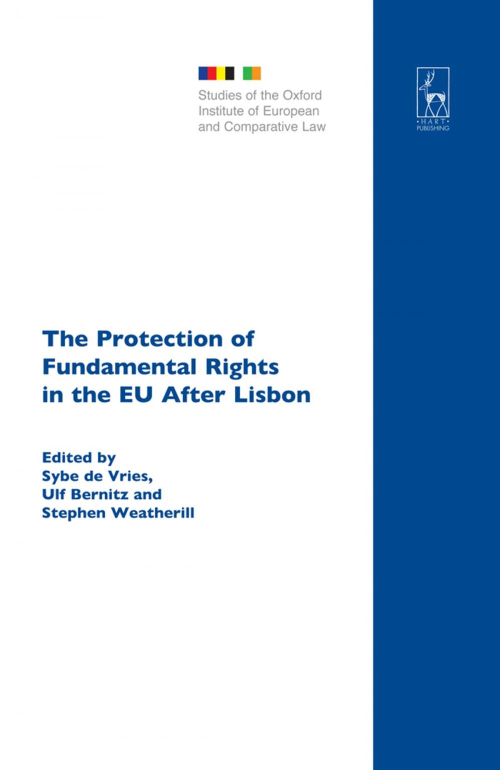 Big bigCover of The Protection of Fundamental Rights in the EU After Lisbon