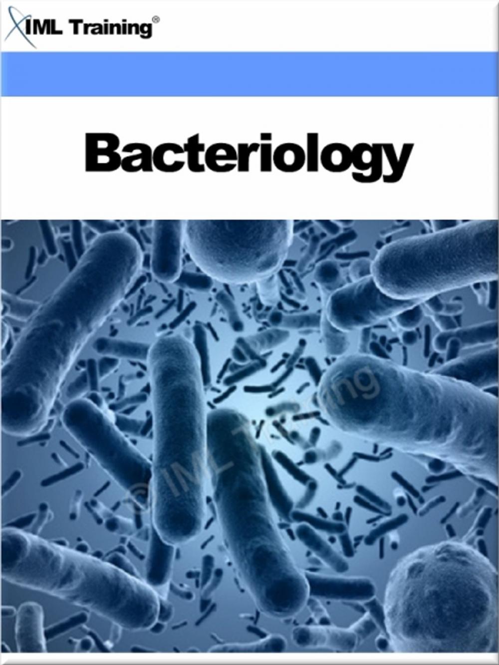 Big bigCover of Bacteriology (Microbiology and Blood)