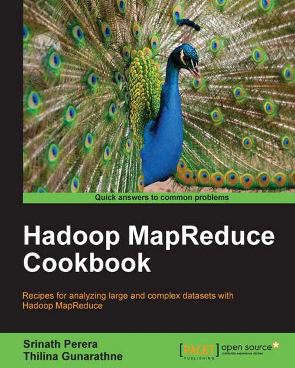 Big bigCover of Hadoop MapReduce Cookbook