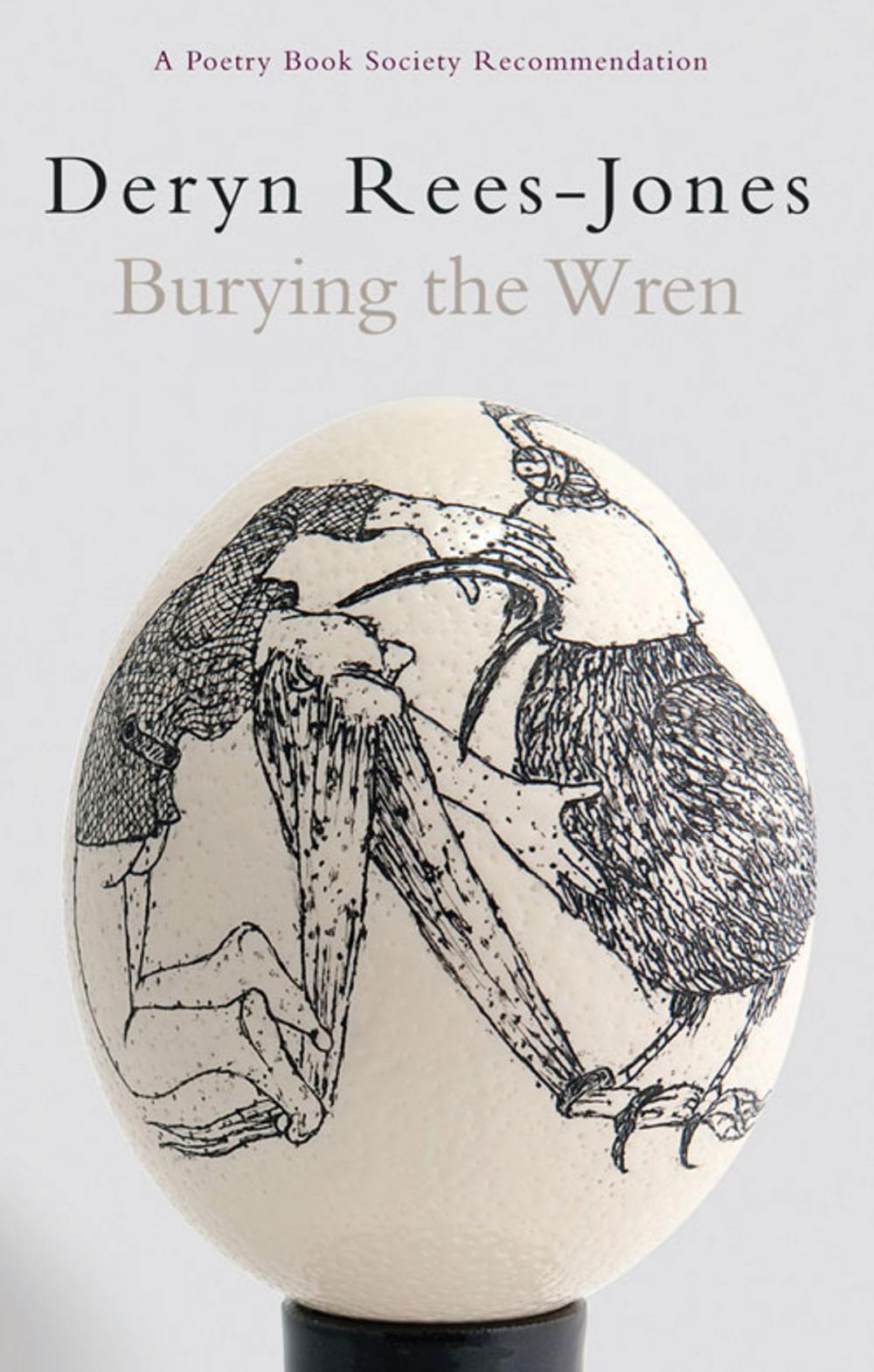 Big bigCover of Burying the Wren