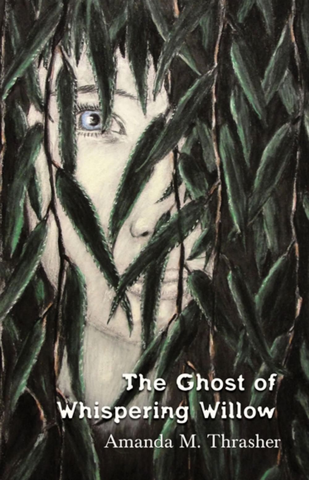 Big bigCover of The Ghost of Whispering Willow