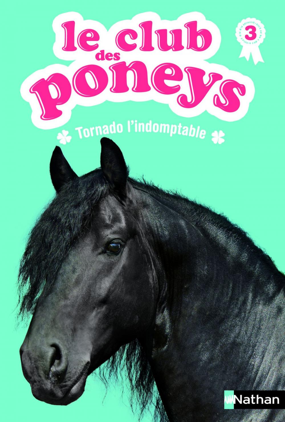 Big bigCover of Le club des poneys - Tome 3