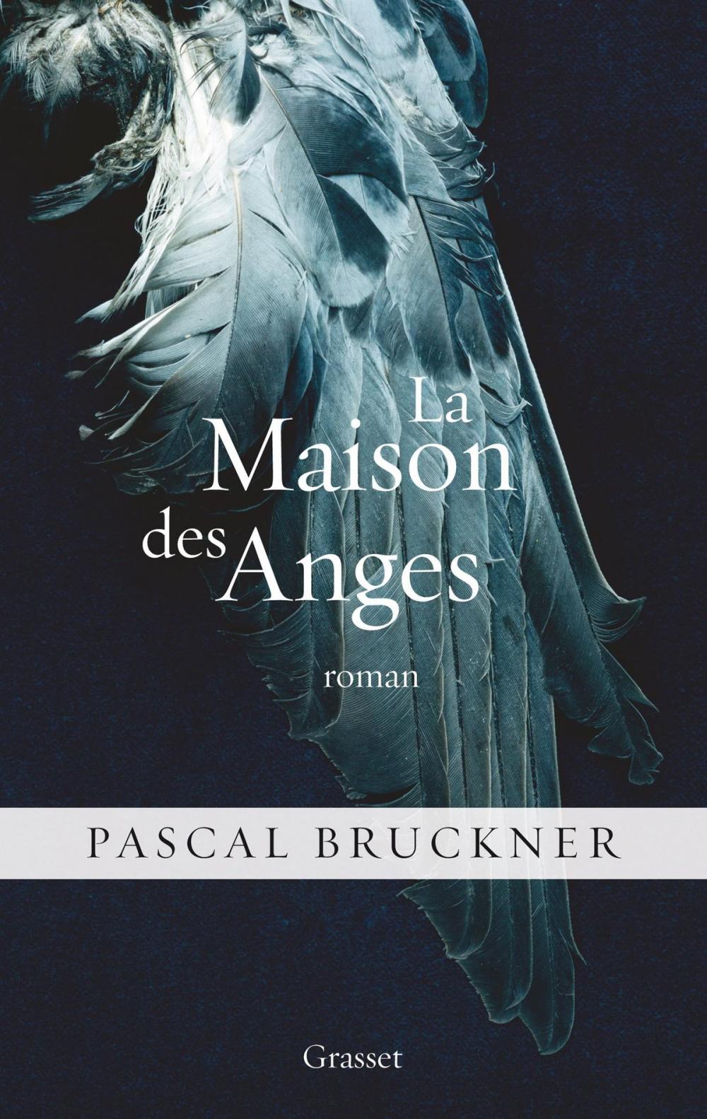 Big bigCover of La maison des anges