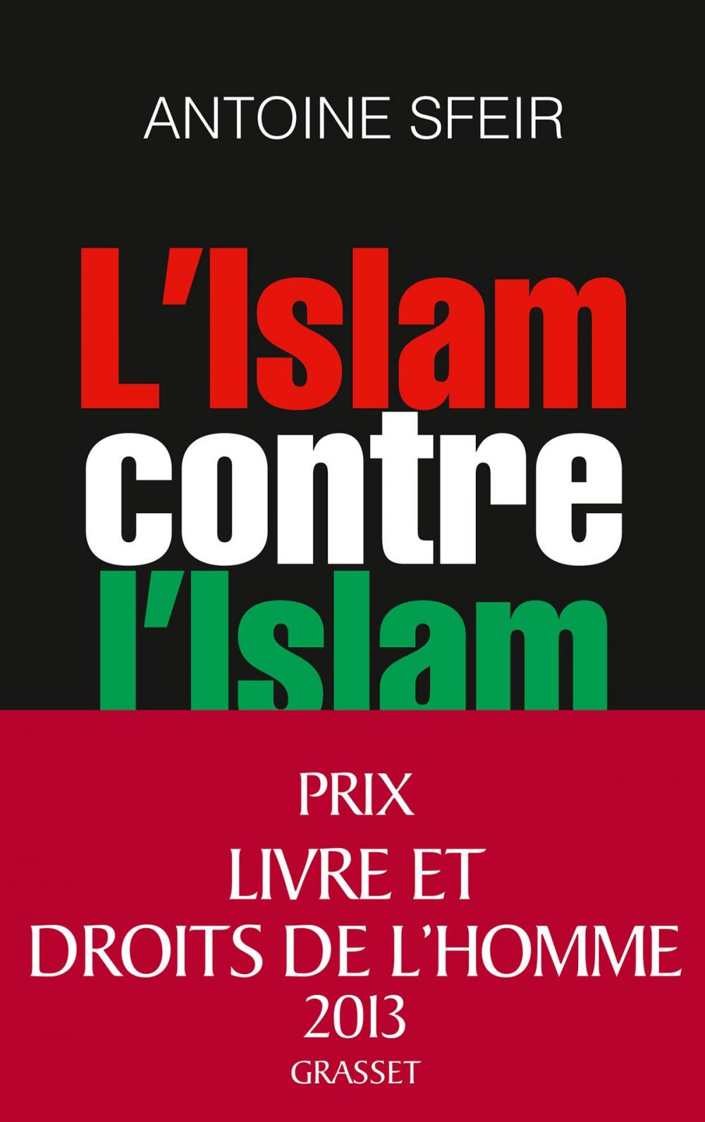 Big bigCover of L'Islam contre l'Islam