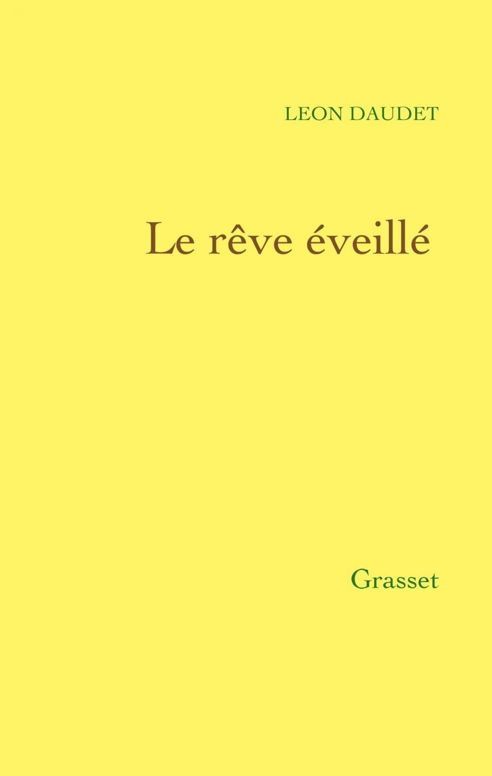 Big bigCover of Le rêve éveillé