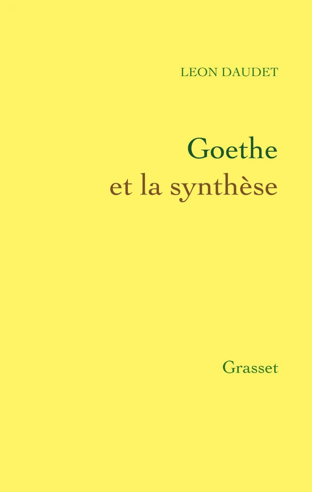 Big bigCover of Goethe et la synthèse