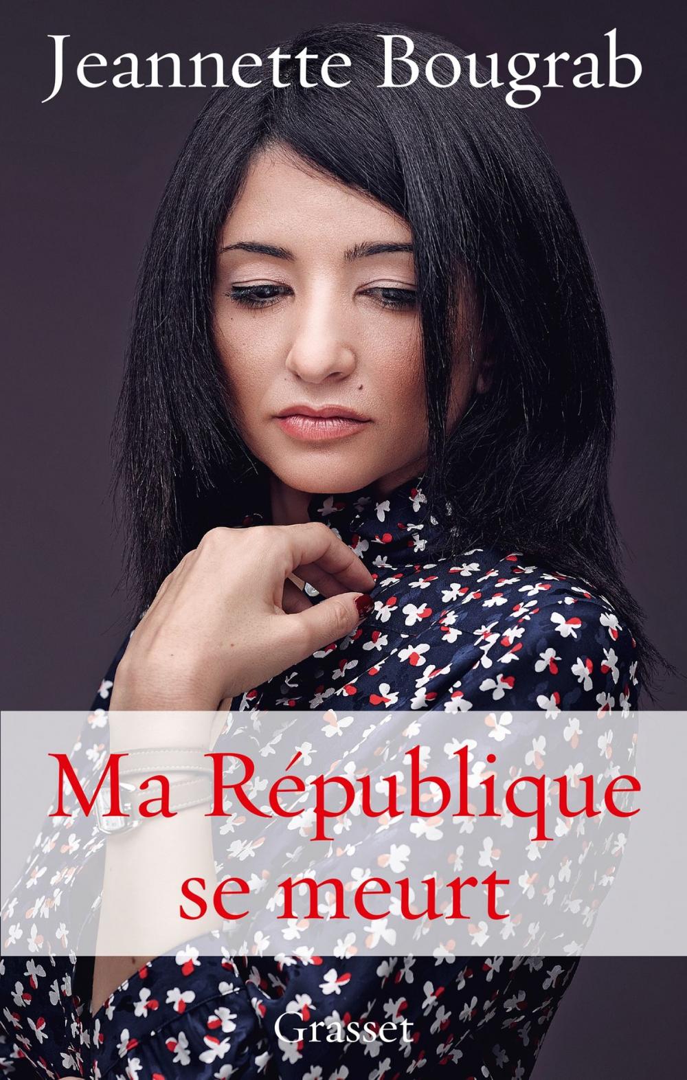 Big bigCover of Ma République se meurt