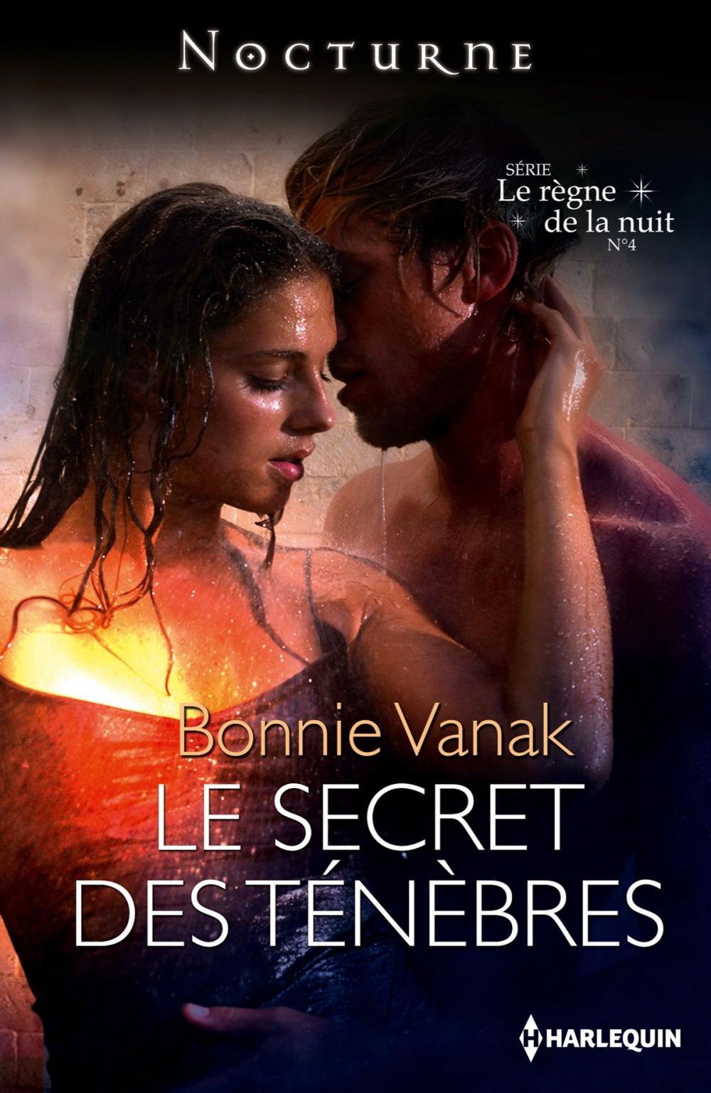 Big bigCover of Le secret des ténèbres