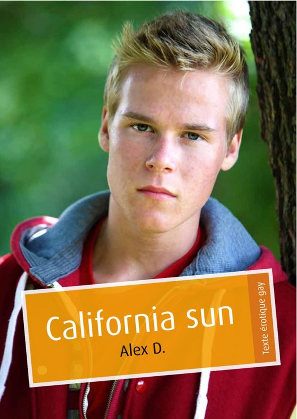 Big bigCover of California sun (érotique gay)