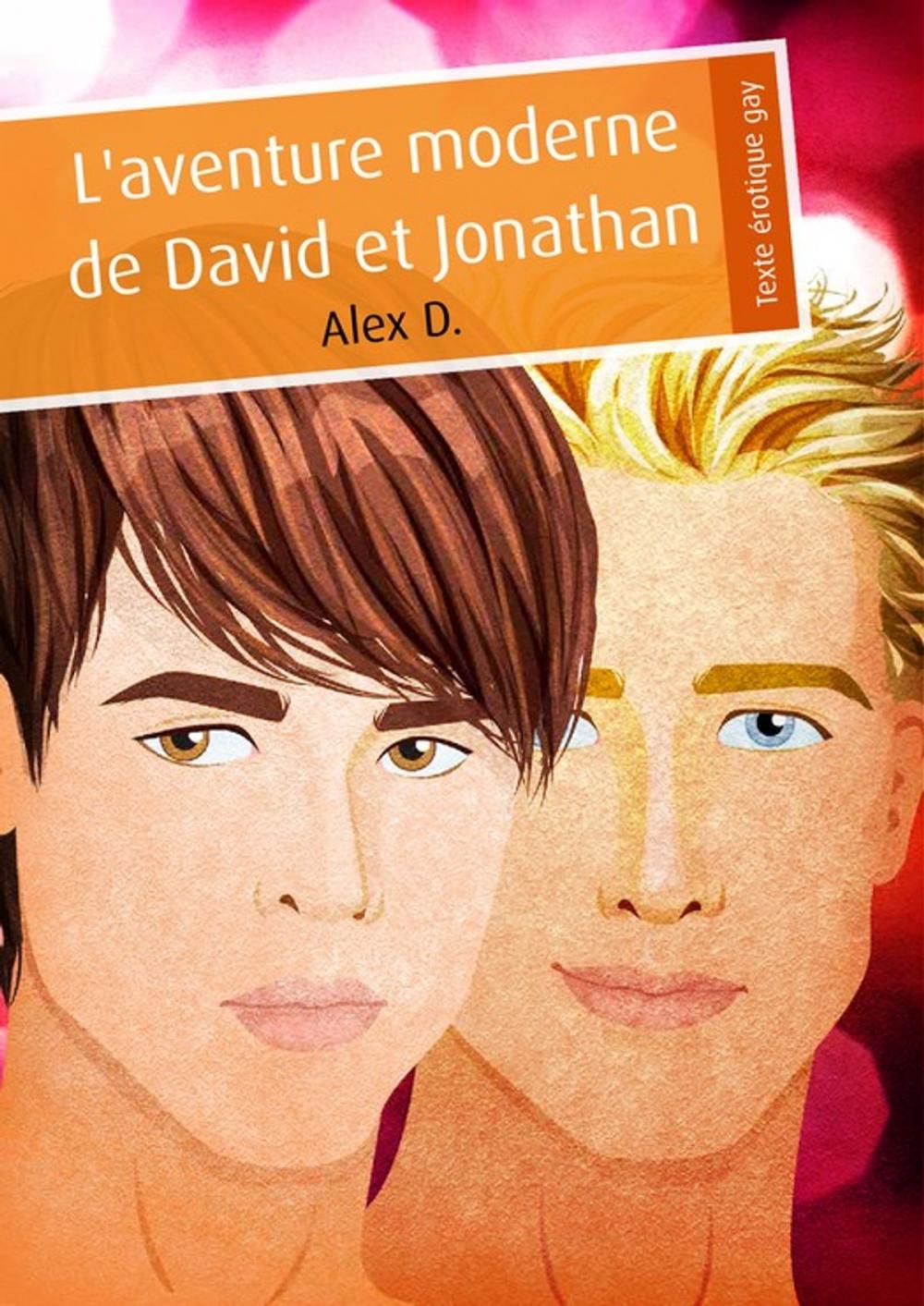 Big bigCover of L'aventure moderne de David et Jonathan (érotique gay)