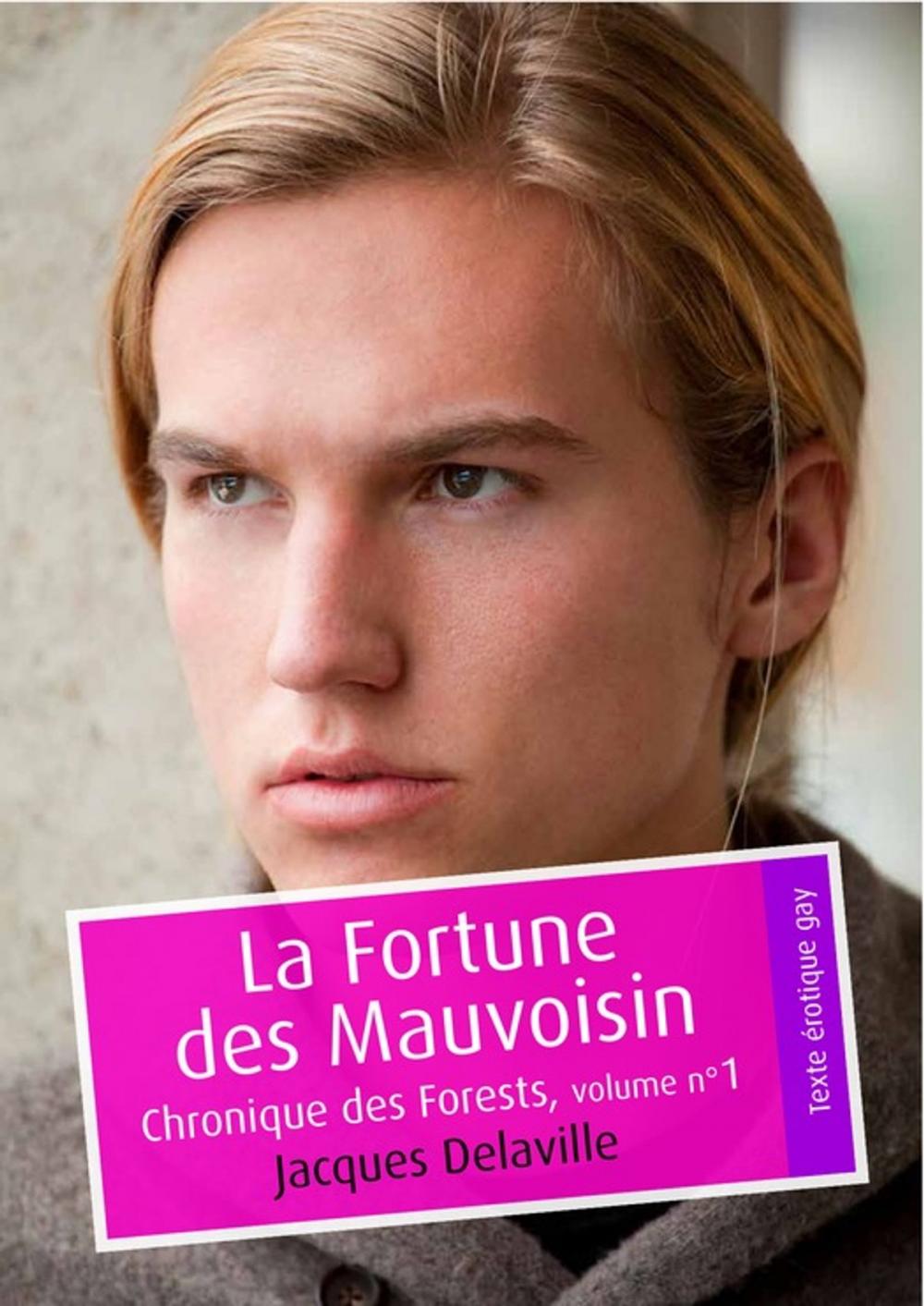 Big bigCover of La Fortune des Mauvoisin (érotique gay)